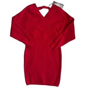 NWT Sweater dress